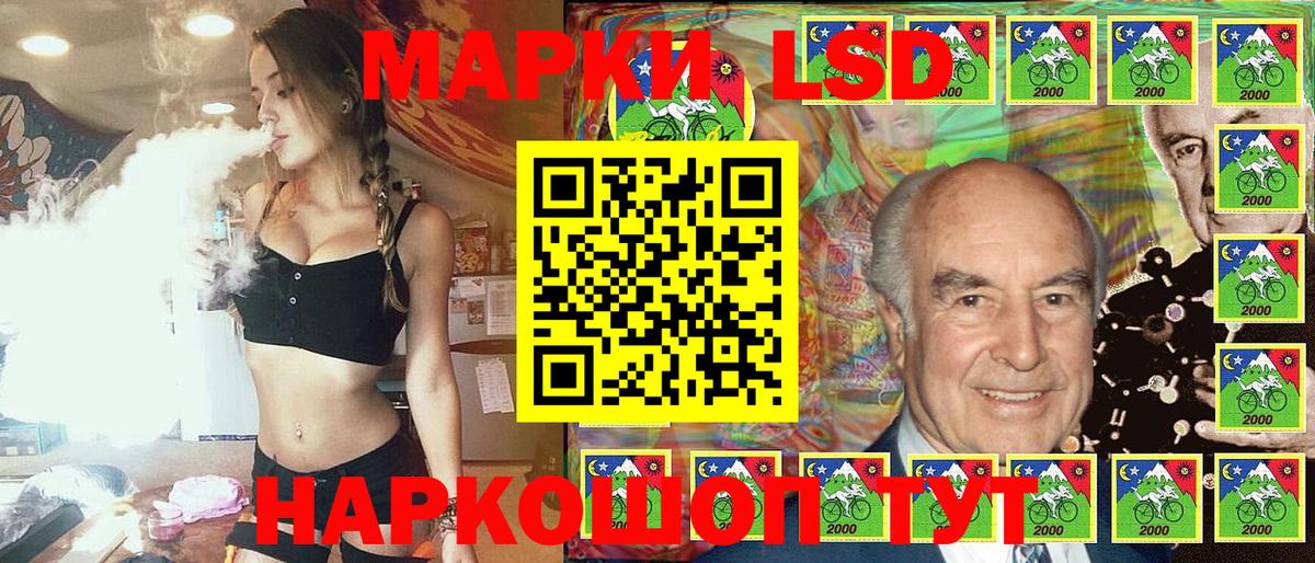 МЕФ Костомукша